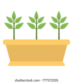 
A pot with green color plants inside them 
