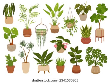 Pot with green plants, flowers and succulents. Office flowerpots. Cartoon vector indoor potted decorative houseplants. Palms monstera, cacti and ficus. Alocasia, sansevieria, strelitzia and agave - Shutterstock ID 2341530805