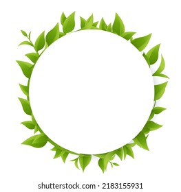 Pot And Green Sprout Isolated
