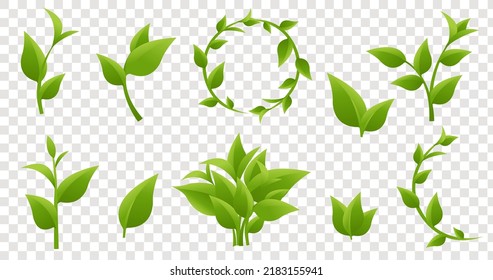 Pot And Green Sprout Isolated