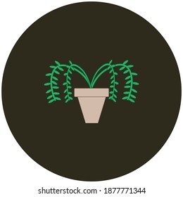 pot with hanging plant on white background