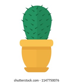 
A pot having flat shape leaves like cactus, prickly pear 
