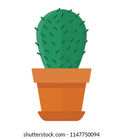 
A pot having flat shape leaves like cactus, prickly pear 
