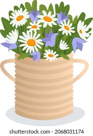 Pot with home green plant, concept field flower in flowerpot cartoon vector illustration, isolated on white. Beautiful blossom chamomile.