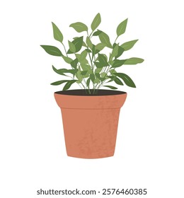 A pot with a houseplant. Isolated flat vector illustration, cartoon style. The concept of a home interior. A young plant from the ground., a sprout. Seedlings, landscaping.