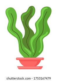 Pot with houseplant isolated at white background. Vector illustration of decorative green plant with long leaves in ceramic pot. Indoor plant concept, domestic greenery. Icon for logo, website or apps