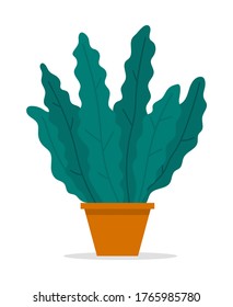 Pot with houseplant isolated at white background. Vector flowerpot of decorative green plant with long leaves in ceramic pot. Indoor plant concept of domestic greenery. Icon for home interior plant