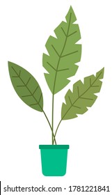 Pot with houseplant isolated at white background. Vector flowerpot of decorative green plant with long leaves in ceramic pot. Indoor plant concept of domestic greenery. Icon for home interior plant