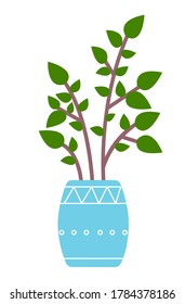 Pot with houseplant isolated at white background. Vector flowerpot of decorative green plant with short leaves in ceramic pot. Indoor plant concept of domestic greenery. Icon for home interior plant