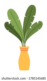 Pot with houseplant isolated at white background. Vector flowerpot of decorative green plant with long leaves in ceramic pot. Indoor plant concept of domestic greenery. Icon for home interior plant