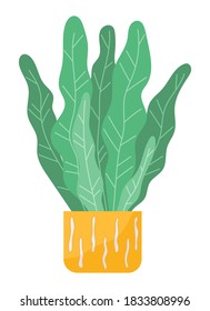 Pot with houseplant isolated at white background. Vector flowerpot of decorative green plant with long leaves in ceramic pot. Indoor plant concept of domestic greenery. Icon for home interior plant