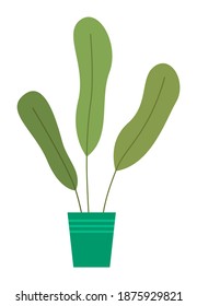 Pot with houseplant isolated at white background. Vector flowerpot of decorative green plant with long leaves in ceramic pot. Indoor plant concept of domestic greenery. Icon for home interior plant