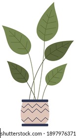 Pot with houseplant isolated at white background. Vector flowerpot of decorative green plant with long leaves in ceramic pot. Indoor plant concept of domestic greenery. Icon for home interior plant
