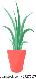 Pot with houseplant isolated at white background. Vector flowerpot of decorative green plant with long leaves in ceramic pot. Indoor plant concept of domestic greenery. Icon for home interior plant