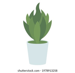 Pot with houseplant isolated at white background. Vector flowerpot of decorative green plant with long leaves in ceramic pot. Indoor plant concept of domestic greenery. Icon for home interior plant