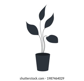 Pot with houseplant isolated at white background. Vector flowerpot of decorative black plant with long leaves in ceramic pot. Indoor plant concept of domestic greenery. Icon for home interior plant