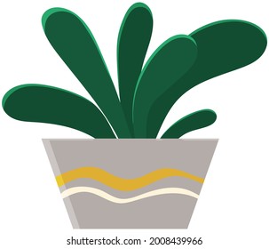 Pot with houseplant isolated at white background. Vector flowerpot of decorative green plant with long leaves in ceramic pot. Indoor plant concept of domestic greenery. Icon for home interior plant