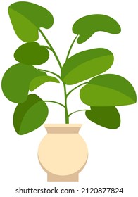 Pot with houseplant isolated at white background. Vector flowerpot of decorative green plant with long leaves in ceramic pot. Indoor plant concept of domestic greenery. Icon for home interior plant