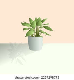 A pot of houseplant , plat decorations. Vector illustration