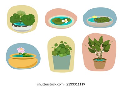 Pot of houseplant in water vector illustration