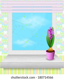Pot of hyacinth stands on the windowsill. spring time