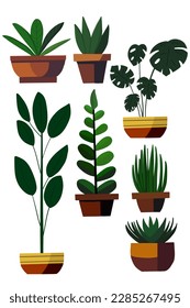 Pot interior plant hand drawn flat design
