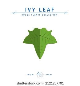 Icono de hoja de hiedra en estilo plano. Planta de casa para diseños interiores. Ilustración vectorial aislada en un fondo blanco.