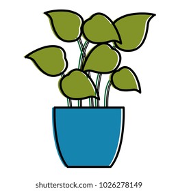 pot with leafs house plant