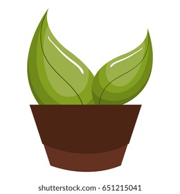 pot with leafs plant ecology icon
