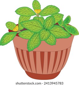 Pot with leaves vector illustration