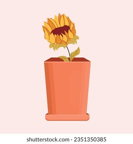 pot with one sunflower in a flat style.Hand drawn. isolated. Plant and leaf. Postcard.Vector stock illustration. background. 