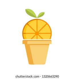 pot orange illustration