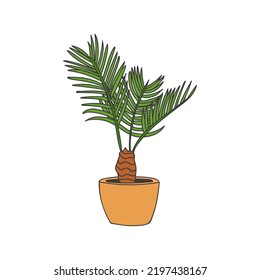 Pot palm tree colorful doodle illustration in vector. House palm tree illustration. Pot plant colorful doodle illustration