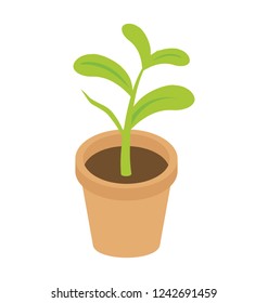 Pot plant flat isometric icon
