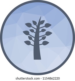 Pot, plant, flower