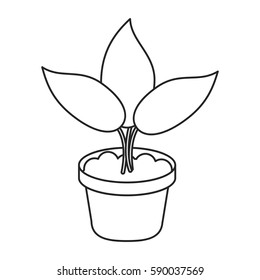 pot plant garden concept thin line