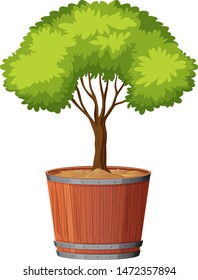 Pot plant with green leaves on an isolated white background illustration