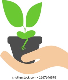 A pot with a plant in hand. Vector icon showing plant growth.