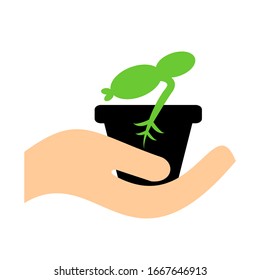 A pot with a plant in hand. Vector icon showing plant growth.