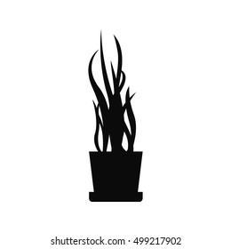 pot plant icon
