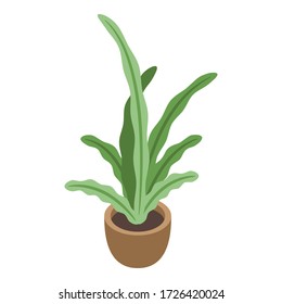 Pot plant icon. Isometric of pot plant vector icon for web design isolated on white background