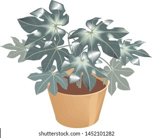 Pot plant icon. Outline pot plant vector icon for web design isolated on white background