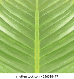 Pot plant leaf pattern