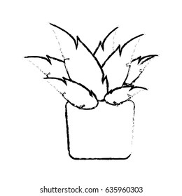 pot plant natural decoration ecology sketch