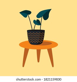 Pot plant on the Table
