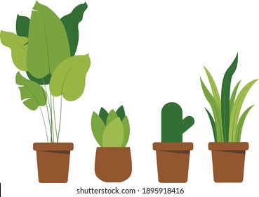 Pot plant set. collection of different decor house indoor garden plants in pots and stands graphic set. Urban jungle, trendy home decor with plants, planters, cactus, tropical leaves