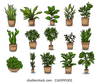 Pot plant set of hand drawn houseplants. vector illustration