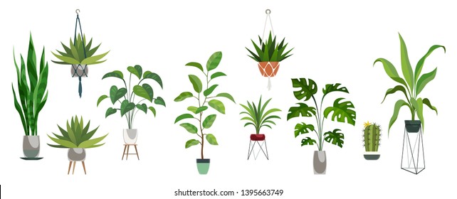 Pot plant set. Plants plastic decorative container and hanging styling indoor basket for potting tree urban garden vector collection