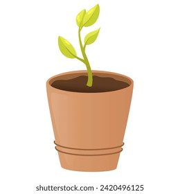 Pot with plant sprout. Flower, plant with leaves in pot. Gardening concept. Vector hand draw flat illustration isolated on white background.