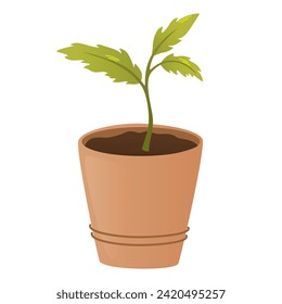 Pot with plant sprout. Seedling gardening plant. Seeds sprout in ground. Sprout, plant, tree growing agriculture icons. Vector hand draw flat illustration isolated on white background.